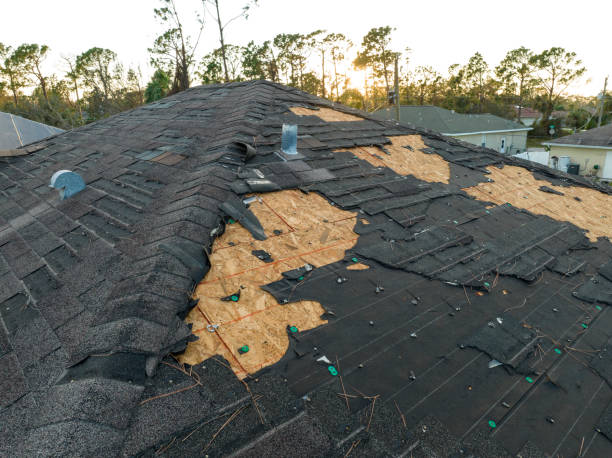 Best Asphalt Shingles Roofing  in Scenic, AZ
