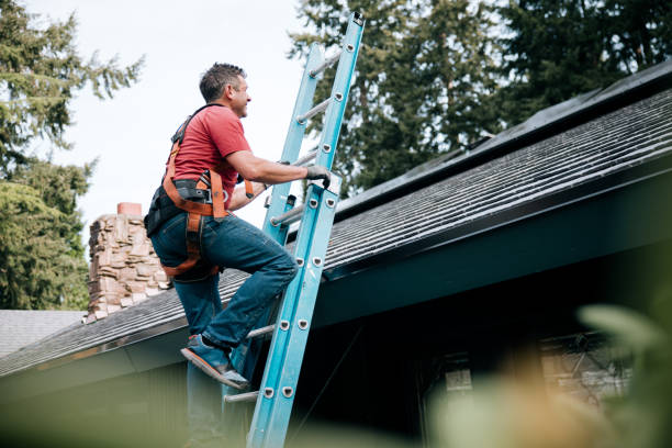 Siding in Scenic, AZ