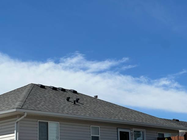 Best Wood Shake Roofing  in Scenic, AZ